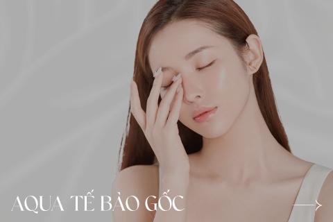 Aqua tế bào gốc